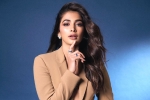 Pooja Hegde, Pooja Hegde lineup, pooja hegde lines up bollywood films, Kartik aaryan