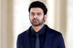 Prabhas new movie title, Prabhas Raja Deluxe, new updates of prabhas and maruthi film, Boman irani