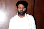 Prabhas film breaking news, Prabhas movie budget, two beauties locked to romance prabhas, Raja deluxe