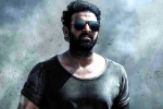 Prabhas, Prithviraj Sukumaran Telugu film, prabhas salaar to have malayalam star, Shruthi haasan