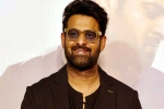 Prabhas Vintage King look, Maruthi, interesting title for prabhas next, Zarina wahab