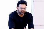 Prabhas Project K, Deepika Padukone, prabhas to return back to work, Ashwini dutt