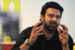 Maruthi, Prabhas new movie, two young beauties in talks for prabhas next, Pelli sandad