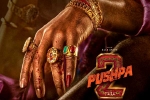 Allu Arjun, Pushpa: The Rule song, allu arjun s dedication for pushpa the rule, Ramoji film city