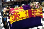 Queen Elizabeth II, Queen Elizabeth II breaking news, queen elizabeth ii laid to rest with state funeral, Prince william