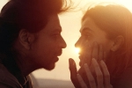 Dunki expectations, Dunki business, srk s dunki to be high on violence, Action trailer