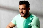 Salman Khan, Chiranjeevi films, salman khan coming for chiranjeevi and charan, Lucifer remake