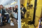 Singapore Airlines from London, Singapore Airlines turbulence horror videos, one dead and 30 injured in singapore airlines turbulence horror, Singapore airlines