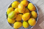 Soak Mangoes updates, Soak Mangoes latest, soak mangoes for 30 minutes before eating, Minor