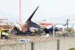 South Korea Plane Crash breaking, South Korea Plane Crash breaking, pilot made mayday call and mentioned bird strike in south korea plane crash, South korea plane crash