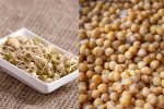 Sprouts vs Boiled Chana comparision, Sprouts vs Boiled Chana for weight control, sprouts vs boiled chana for weight loss, Muscle