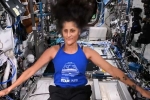 Sunita Williams updates, Sunita Williams latest breaking, indian origin astronaut sunita williams battling radiation and bone weakness, Space mission