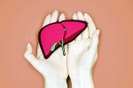 Superfoods for Liver Health doctors, Superfoods for Liver Health news, superfoods that can help to support liver health, The