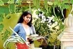 NRI, Qatar, this nri in qatar keen on farming is going green, Ty morin