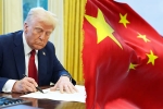 Trump for Chinese students 6 lakhs, Trump for Chinese students 6 lakhs, trump opens us doors to 6 lakh chinese students, Axe