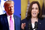 Kamala Harris, Kamala Harris, ai predictions on us presidential polls, Polls