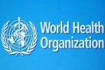 WHO, WHO, usa withdraws from world health organization, Health issues
