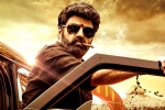 Veera Simha Reddy Sankranthi box-office, Veera Simha Reddy breaking updates, veera simha reddy sankranthi weekend collections, Varalaxmi sarathkumar