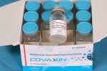 WHO on Covaxin updates, WHO on Covaxin updates, who suspends the supply of covaxin, Covaxin