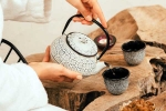 Wellness Tea updates, Wellness Tea disadvantages, can wellness tea help with weight loss and belly fat, Healthy lifestyle