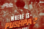 Sukumar, Pushpa: The Rule visual, where is pushpa second installment is lavish, Red sandalwood Sukumar, Pushpa: The Rule visual, where is pushpa second installment is lavish, Red sandalwood