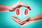 World Kidney Day 2025 breaking, World Kidney Day 2025 theme, world kidney day 2025 theme and health tips, Water