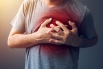 recovery after sudden cardiac death, signs of cardiac distress, difference between a heart attack and cardiac arrest, Heart muscle