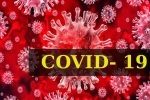 Coronavirus, Coronavirus, who renames the deadly coronavirus as covid 19, Spanish flu