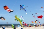 CA Event, Events in California, bayvp kite flying uttarayan 2017, Ji min sha