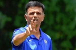 Rahul Dravid news, Rahul Dravid latest, rahul dravid to lead team india as head coach, Sourav ganguly