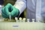 mutation, strain, not enough mutants in coronavirus in india to inflict concern, Global development