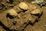 7200 year old human remains, Toalean culture, remains of a teenager who died 7200 years found, Asians