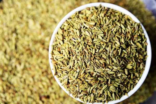 What Happens when you drink Saunf Water Every Night? What Happens when you drink Saunf Water Every Night?