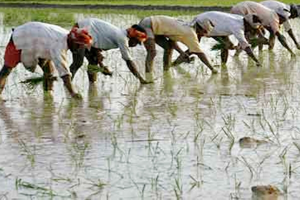 Everything about NDA government’s crop insurance scheme},{Everything about NDA government’s crop insurance scheme