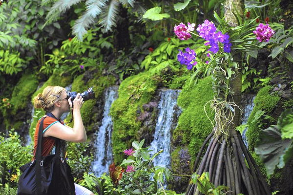 Botanic Gardens Singapore