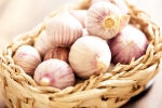 Chinese garlic banned reasons, Chinese garlic in India, how to identify banned chinese garlic in the indian market, Spicy