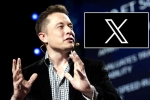 X subscription from Elon Musk, X subscription users, elon musk announces that x would be paid for everyone, Social networking