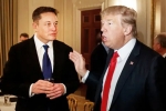 Donald Trump's Campaign news, Donald Trump's Campaign news, elon musk donates for donald trump s campaign, Ssr