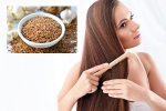 Flaxseeds latest breaking, Flaxseeds latest, how flaxseeds can help for a long and healthy hair, Leaving