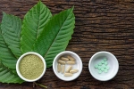 kratom, health and fitness, this pain treating herbal supplement is not safe for use, Disorders care