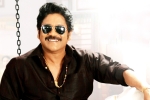 Bangarraju release news, Bangarraju, nag s bangarraju to have a special dancing number, Shata