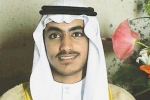 osama bin laden son, Hamza bin Laden location, u s offers usd 1 million reward to find osama bin laden s son, Osama bin laden