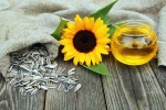 Sunflower seeds breakfast, Sunflower seeds advantages, sunflower seeds and their nutritional benefits, Harvest