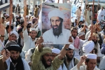 Pakistan, Bin Laden latest, bin laden continues to mobilize jihadists ten years after his death, Osama bin laden